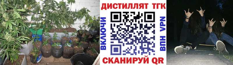 Купить где Балтийск ТГК жижа
