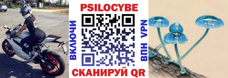 Галлюциногенные грибы мицелий  Купить закладки  Балтийск 